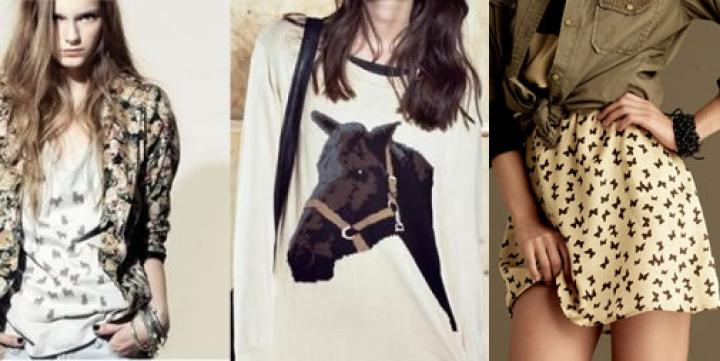 S.O.S. Animales sueltos