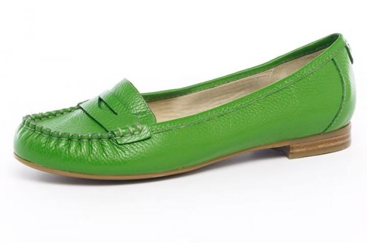 A nuestros pies el sr. Mocasín